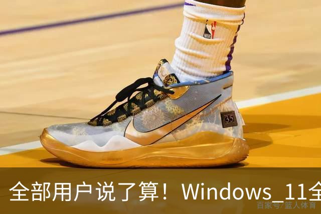全部用户说了算！Windows 11全新功能曝光：可手动分配统一内存
