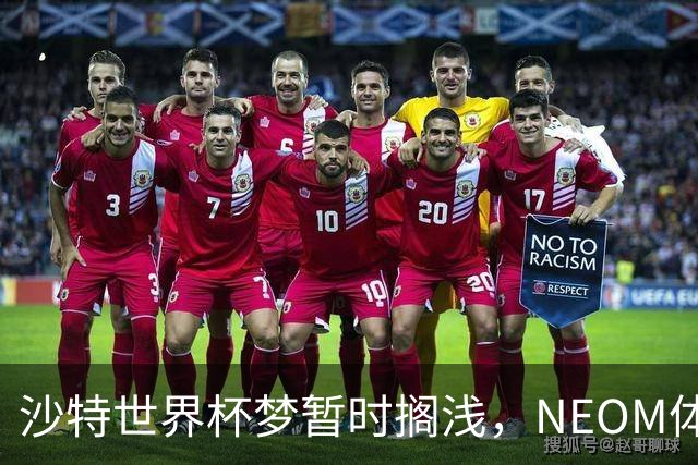 沙特世界杯梦暂时搁浅，NEOM体育场成“停工王