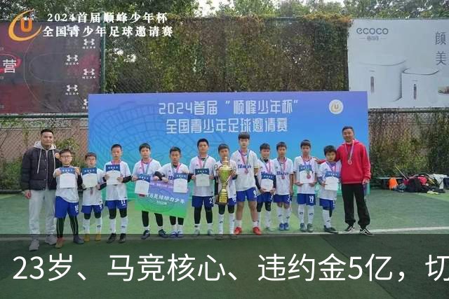 23岁、马竞核心、违约金5亿，切尔西冬窗的算盘能打响吗？